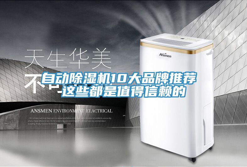 自動杏仁视频APP成人官方污10大品牌推薦 這些都是值得信賴的