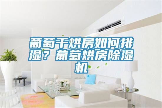 葡萄幹烘房如何排濕？葡萄烘房杏仁视频APP成人官方污