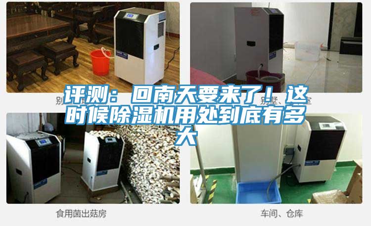 評測：回南天要來了！這時候杏仁视频APP成人官方污用處到底有多大