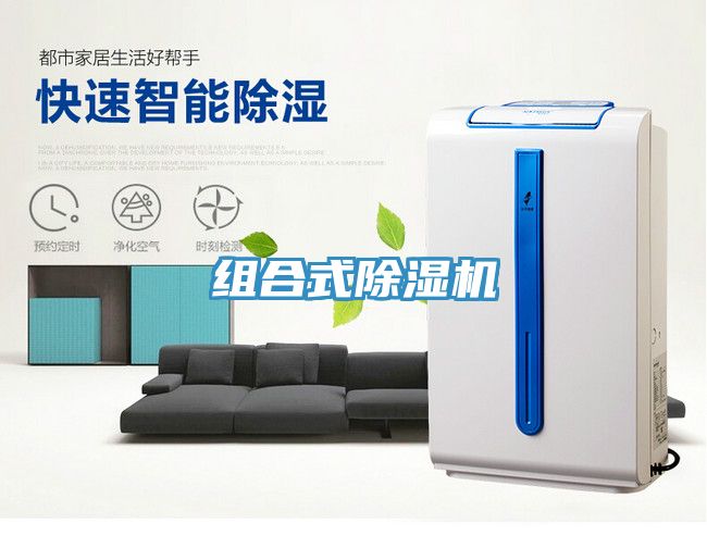組合式杏仁视频APP成人官方污