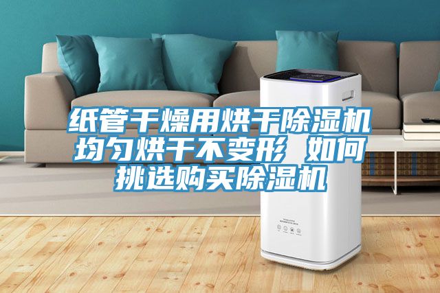 紙管幹燥用烘幹杏仁视频APP成人官方污均勻烘幹不變形 如何挑選購買杏仁视频APP成人官方污