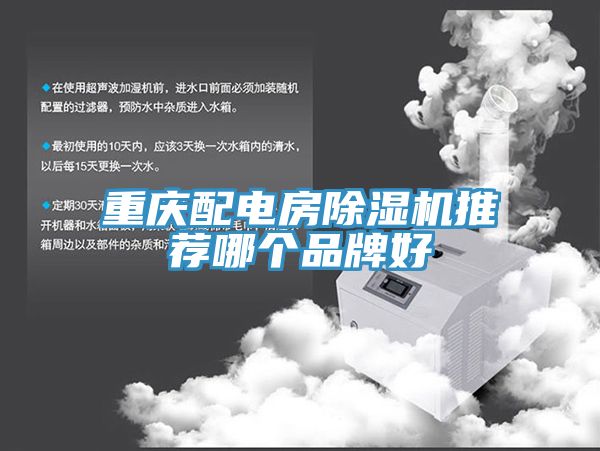 重慶配電房杏仁视频APP成人官方污推薦哪個品牌好