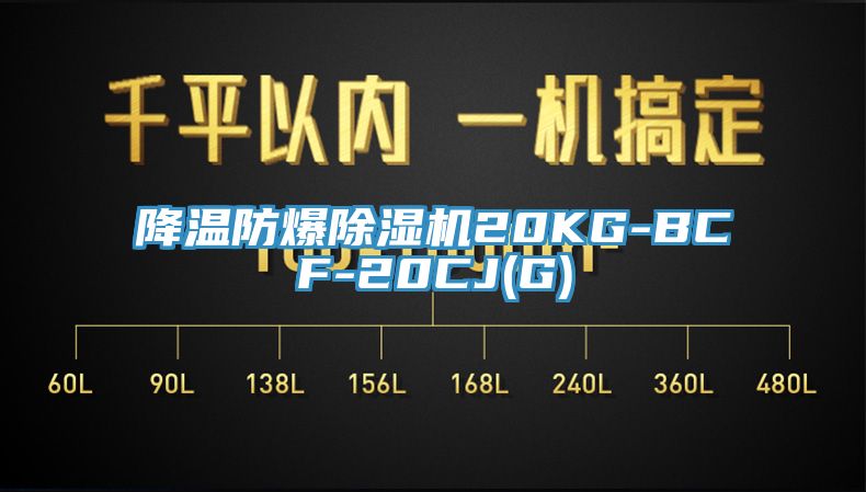 降溫防爆杏仁视频APP成人官方污20KG-BCF-20CJ(G)