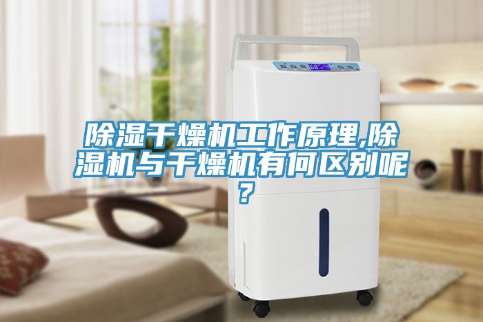 除濕幹燥機工作原理,杏仁视频APP成人官方污與幹燥機有何區別呢？