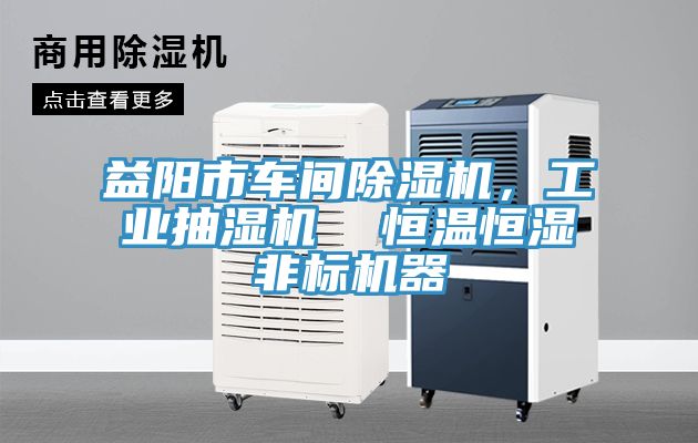 益陽市車間杏仁视频APP成人官方污，工業抽濕機  恒溫恒濕非標機器