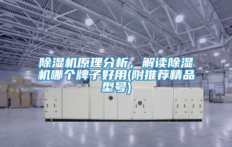 杏仁视频APP成人官方污原理分析，解讀杏仁视频APP成人官方污哪個牌子好用(附推薦精品型號)