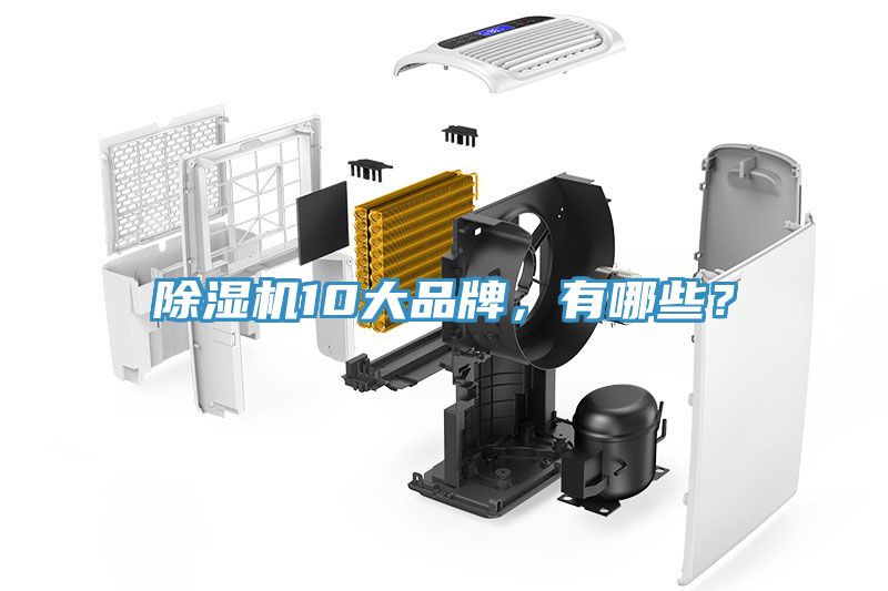 杏仁视频APP成人官方污10大品牌，有哪些？