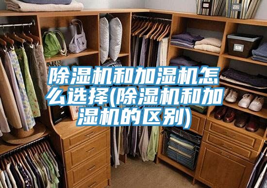 杏仁视频APP成人官方污和加濕機怎麽選擇(杏仁视频APP成人官方污和加濕機的區別)