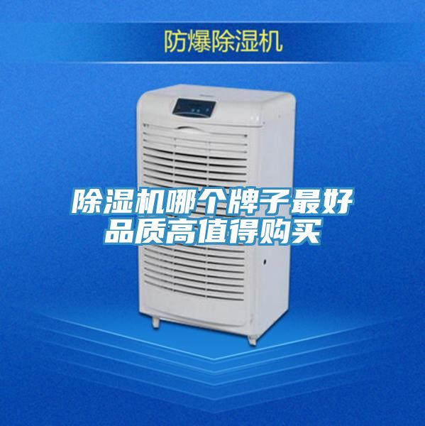 杏仁视频APP成人官方污哪個牌子最好品質高值得購買