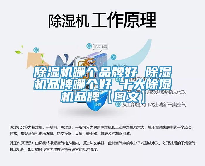 杏仁视频APP成人官方污哪個品牌好 杏仁视频APP成人官方污品牌哪個好 十大杏仁视频APP成人官方污品牌【圖文】