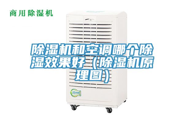 杏仁视频APP成人官方污和空調哪個除濕效果好（杏仁视频APP成人官方污原理圖）