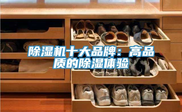 杏仁视频APP成人官方污十大品牌：高品質的除濕體驗