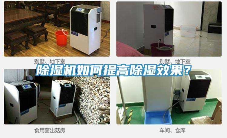 杏仁视频APP成人官方污如何提高除濕效果？