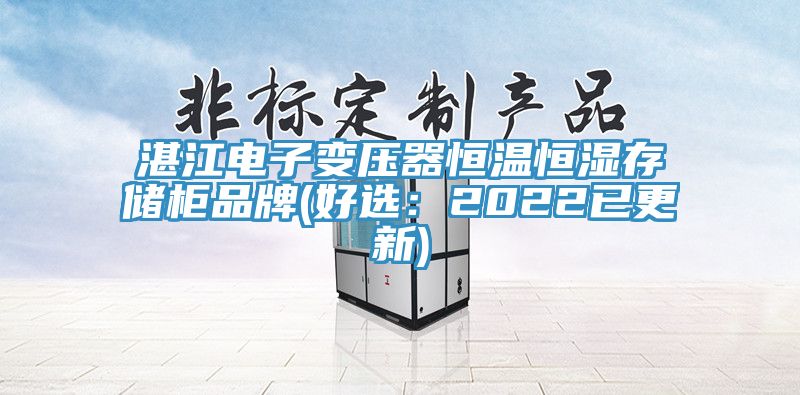 湛江電子變壓器恒溫恒濕存儲櫃品牌(好選：2022已更新)