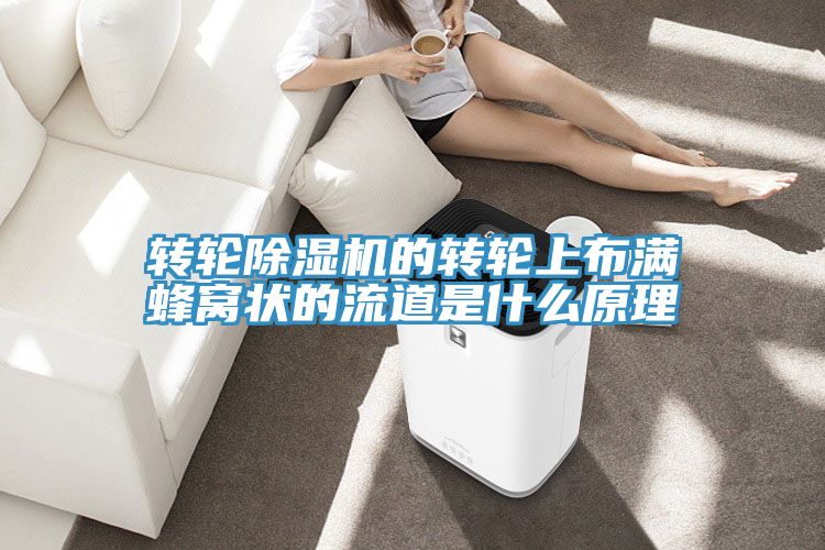 轉輪杏仁视频APP成人官方污的轉輪上布滿蜂窩狀的流道是什麽原理