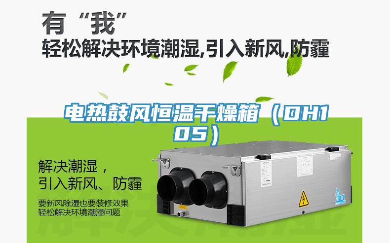 電熱鼓風恒溫幹燥箱（DH105）