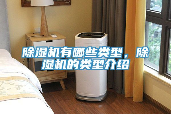 杏仁视频APP成人官方污有哪些類型，杏仁视频APP成人官方污的類型介紹