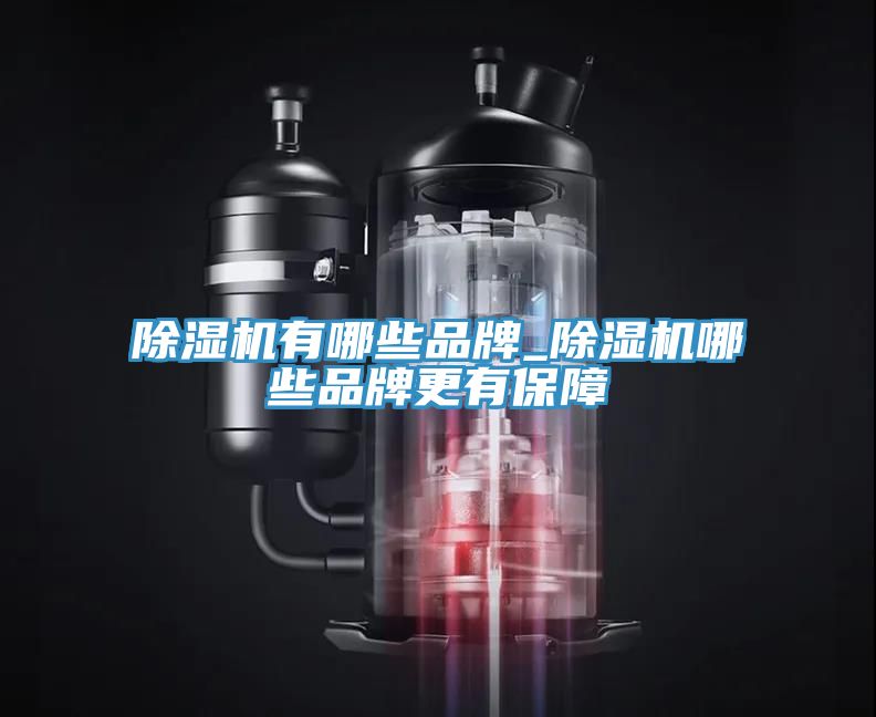 杏仁视频APP成人官方污有哪些品牌_杏仁视频APP成人官方污哪些品牌更有保障