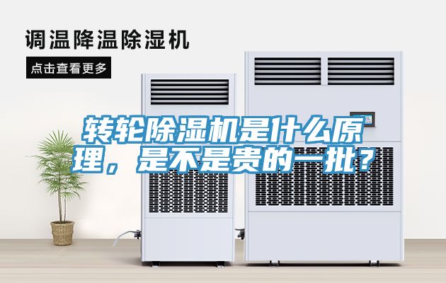 轉輪杏仁视频APP成人官方污是什麽原理，是不是貴的一批？